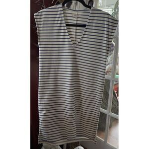 Madewell Striped Dress Blue Cream Shift Mini Dress Size Medium  V-Neck Vacation